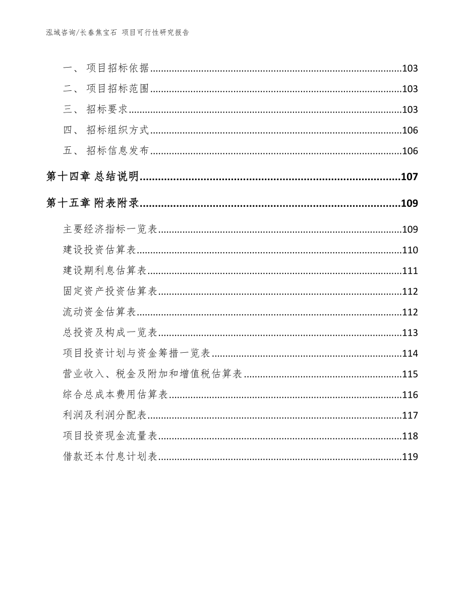 长春焦宝石 项目可行性研究报告_模板范本_第5页