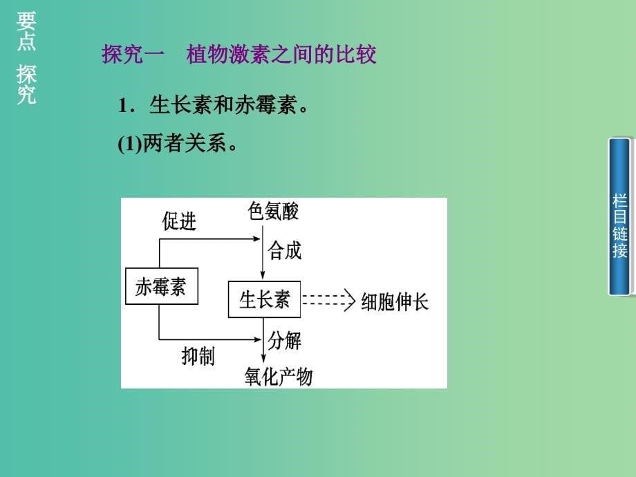 高中生物 3.3其他植物激素课件 新人教版必修3.ppt_第5页