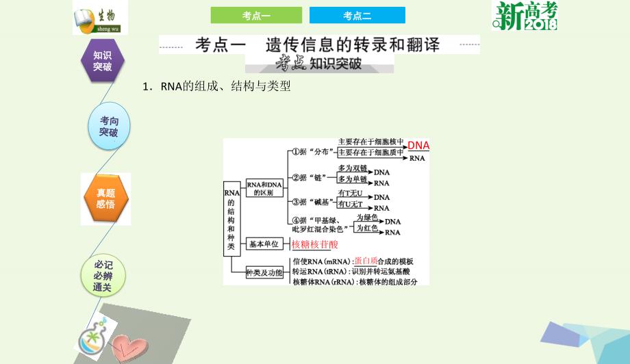 全国卷地区专用高考生物总复习第六单元基因的本质与表达第3讲基因的表达课件0731349_第2页