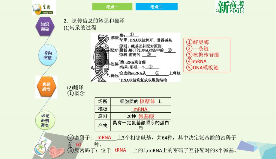 全国卷地区专用高考生物总复习第六单元基因的本质与表达第3讲基因的表达课件0731349_第3页