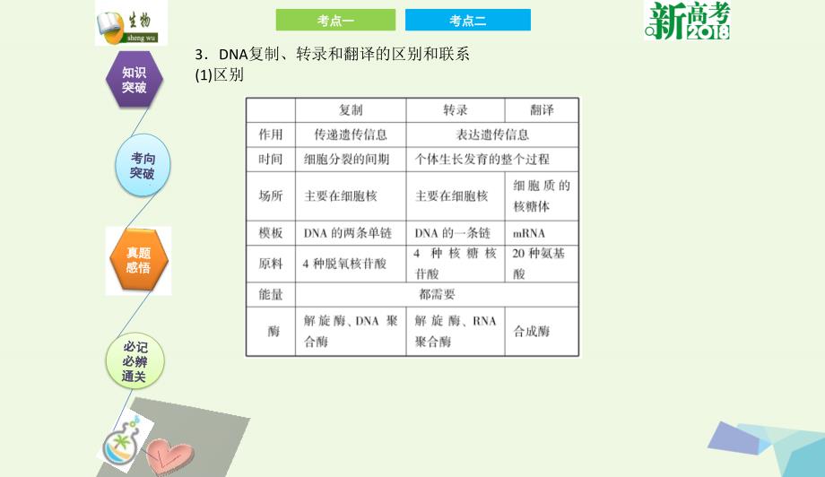 全国卷地区专用高考生物总复习第六单元基因的本质与表达第3讲基因的表达课件0731349_第4页