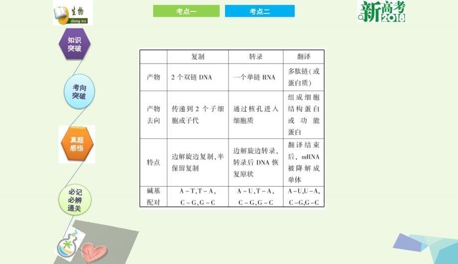 全国卷地区专用高考生物总复习第六单元基因的本质与表达第3讲基因的表达课件0731349_第5页