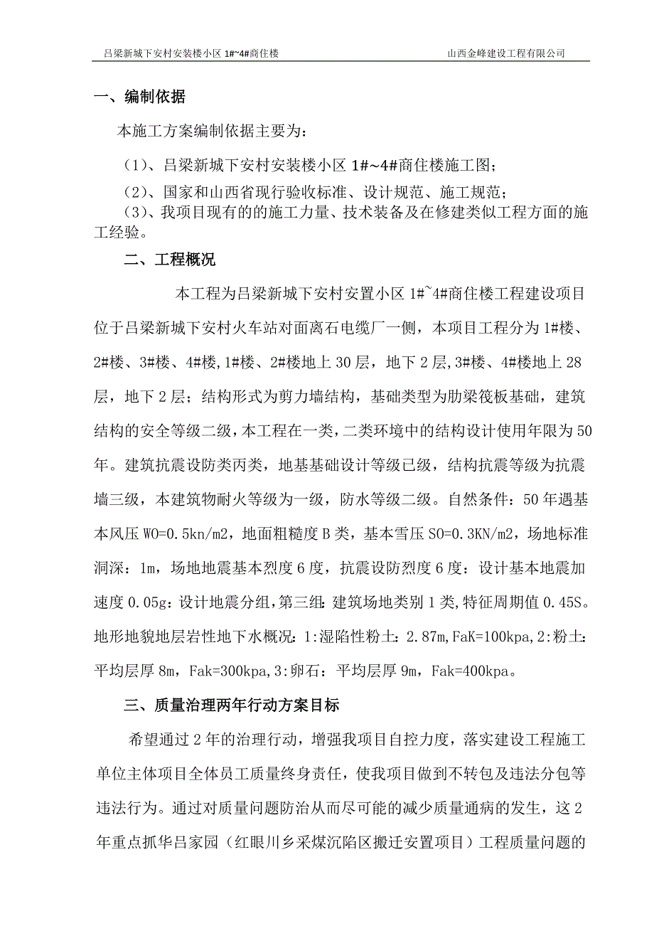 项目质量治理两年行动方案_第1页