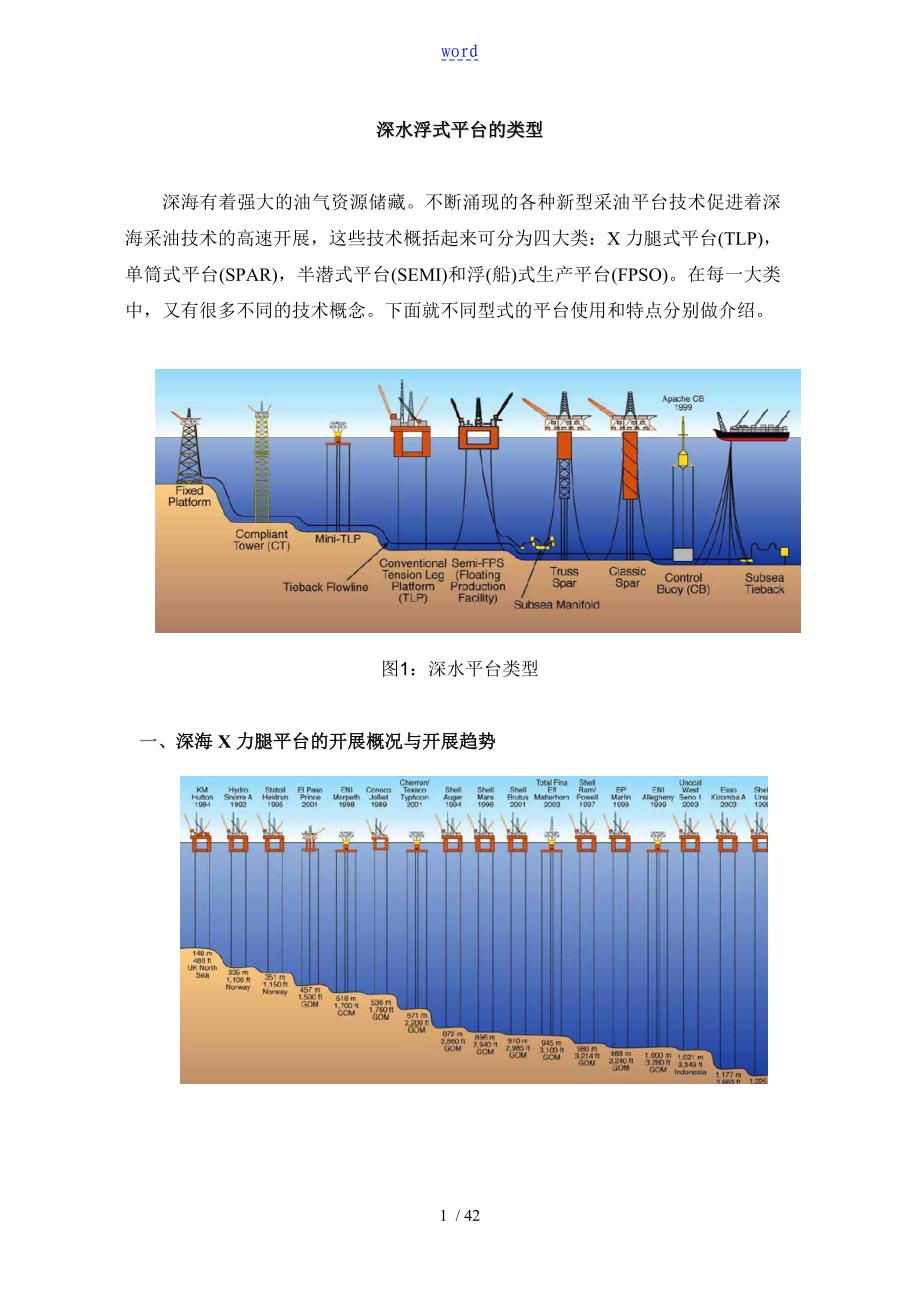 深水浮式平台地类型_第1页