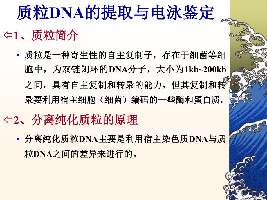 浙江大学生物化学实验甲质粒DNA的小批量提取与鉴定_第1页