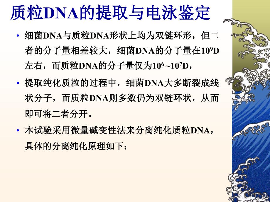 浙江大学生物化学实验甲质粒DNA的小批量提取与鉴定_第2页