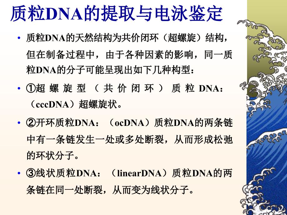 浙江大学生物化学实验甲质粒DNA的小批量提取与鉴定_第4页