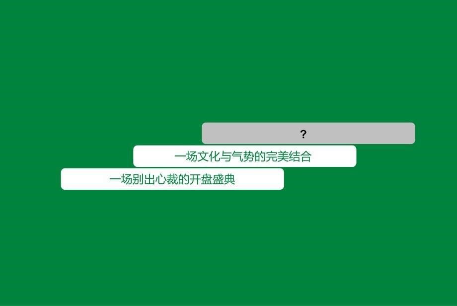 济南中建文化广场开盘盛典5_第5页