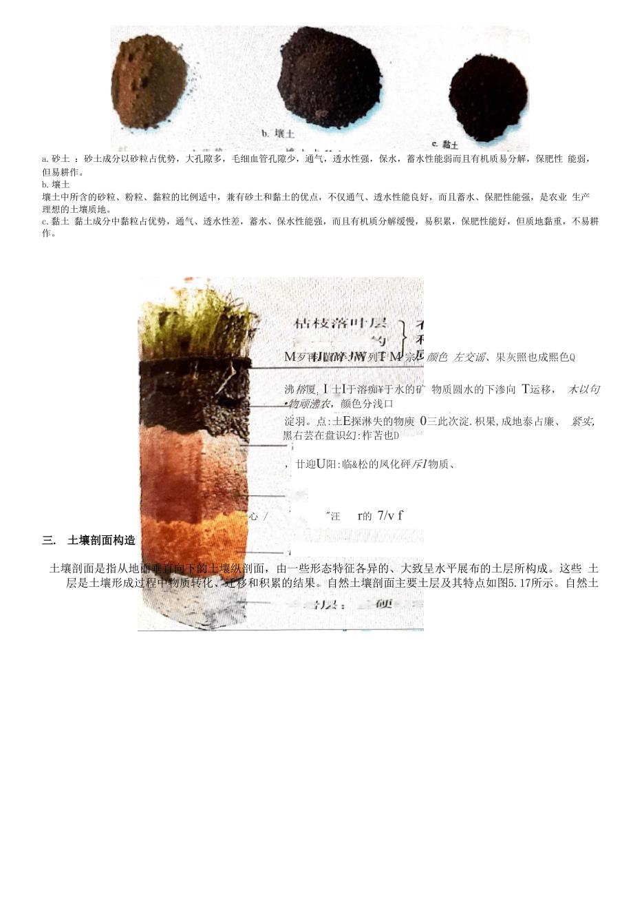 第五章植被与土壤_第2页