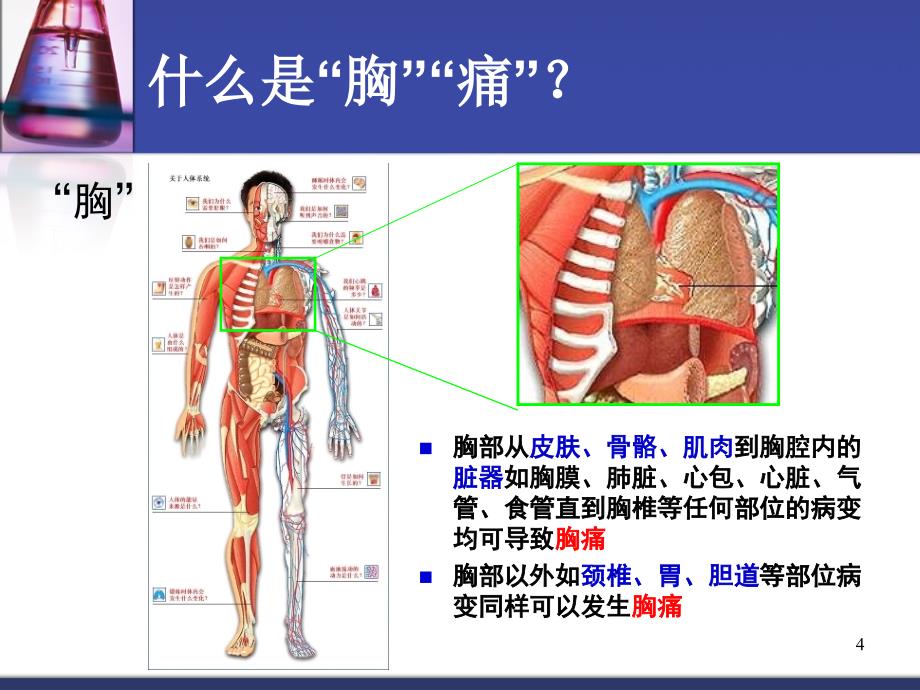 胸痛健康教育ppt课件_第4页