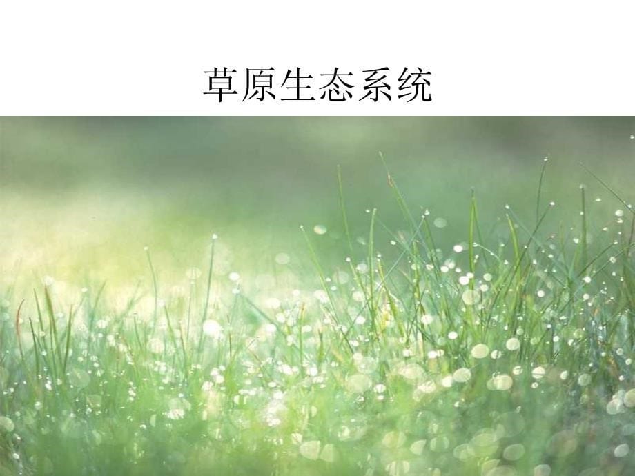 初一生物生物圈是最大的生态系统_第5页