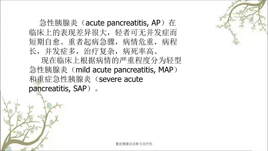 重症胰腺炎诊断与治疗的_第2页