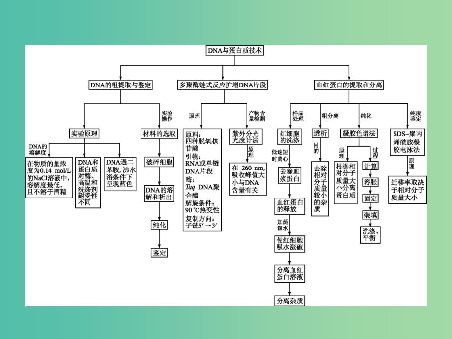 高中生物专题5DNA和蛋白质技术整合课件新人教版.ppt_第2页