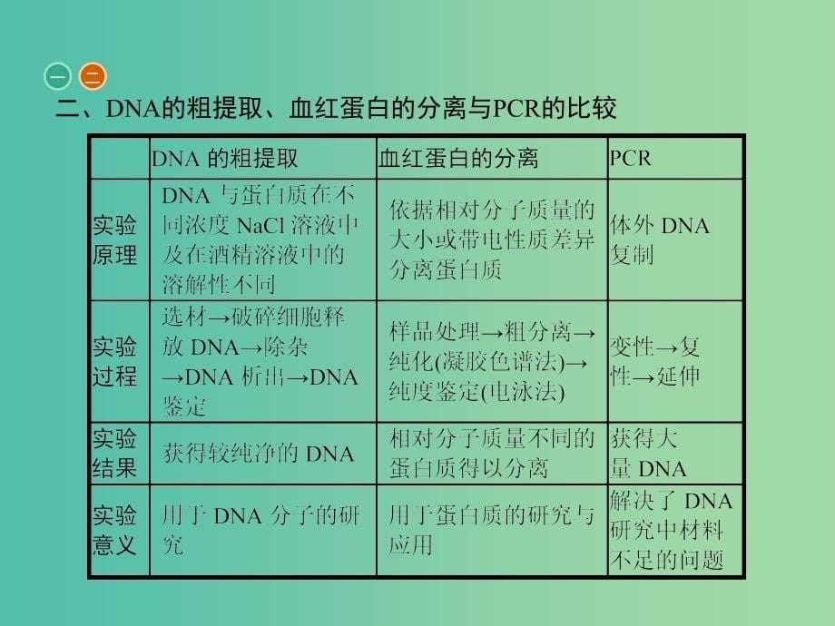 高中生物专题5DNA和蛋白质技术整合课件新人教版.ppt_第5页