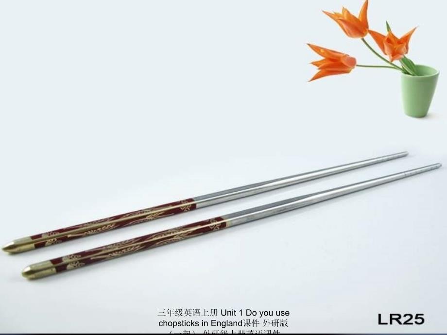 最新三年级英语上册Unit1DoyouusechopsticksinEngland课件_第3页