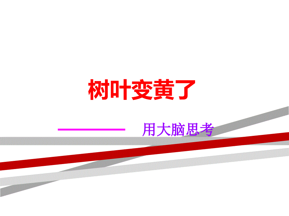 树叶变黄了.ppt.ppt课件_第1页