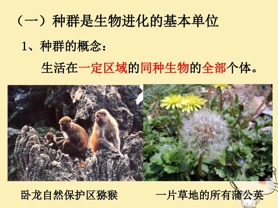 广东省平远县高中生物7.2.1种群基因频率的改变与生物进化课件新人教版必修2_第3页