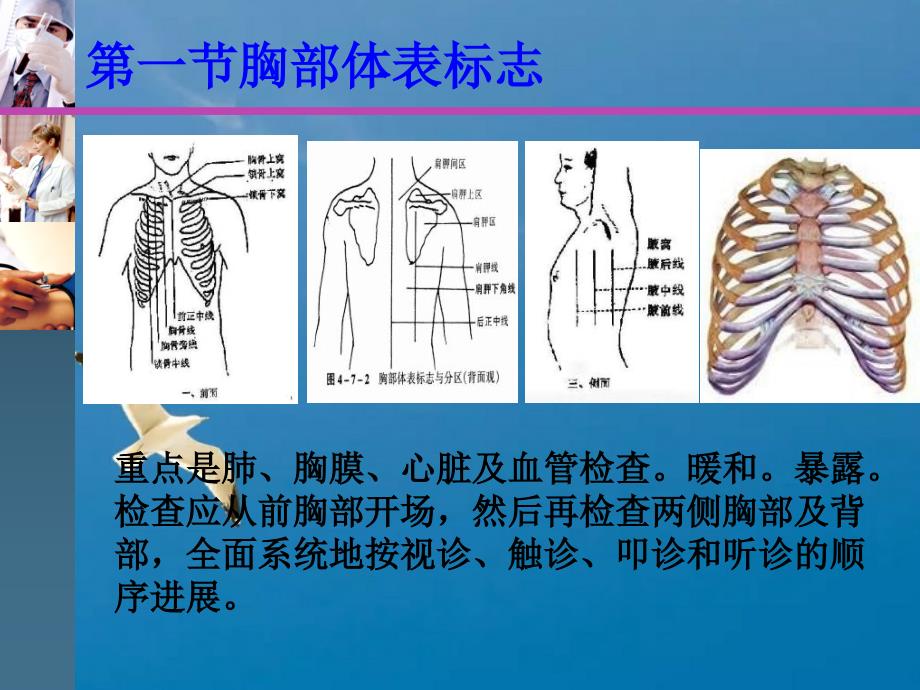 胸廓肺部视触诊ppt课件_第2页