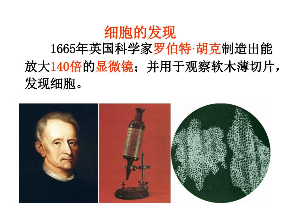 科学&#183;技术&#183;社会　人类探索微观世界不可缺少的工具——显微镜 (2)_第1页