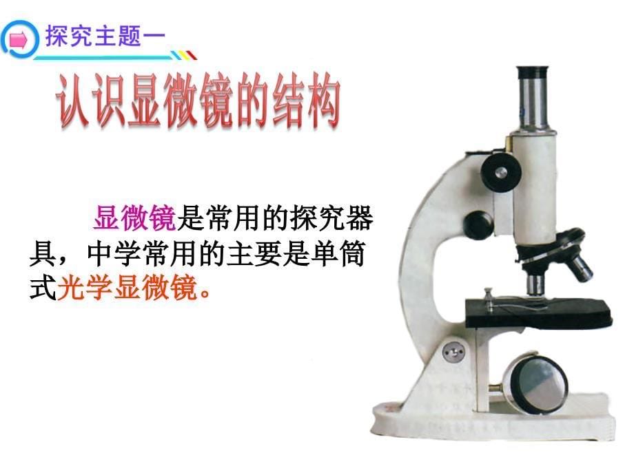 科学&#183;技术&#183;社会　人类探索微观世界不可缺少的工具——显微镜 (2)_第5页