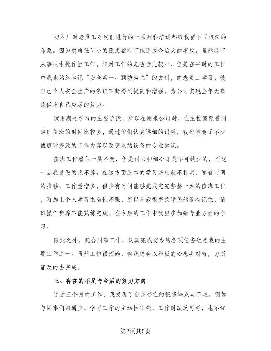 电厂员工试用期工作总结标准模板（二篇）.doc_第2页