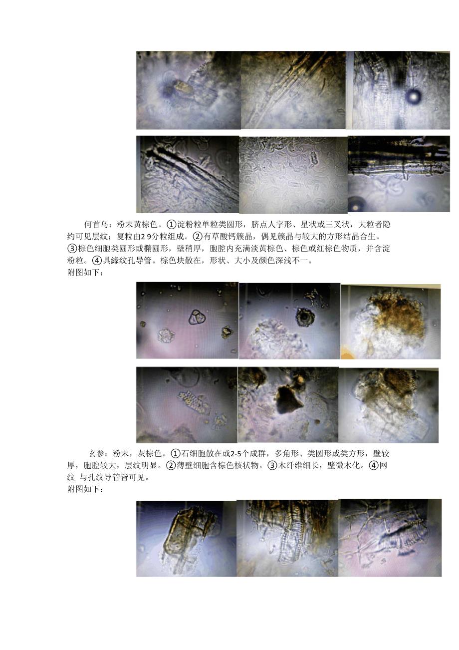 四逆汤组成药材的传统鉴定_第3页