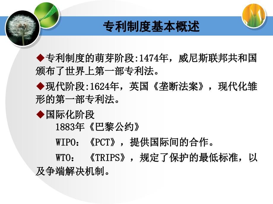 清华大学专利知识讲座_第3页