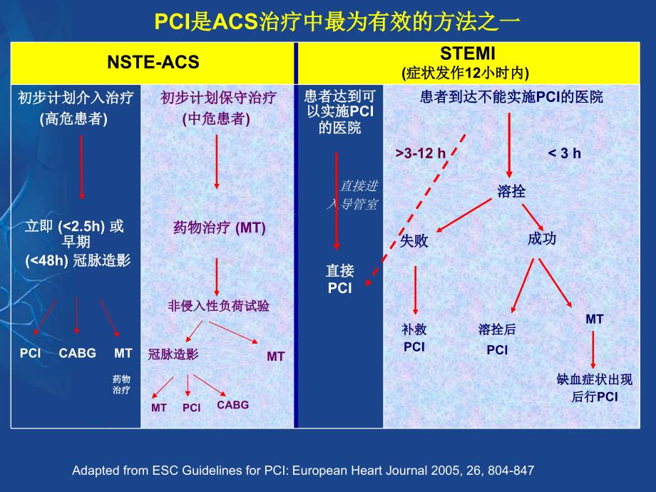 pci波立维ppt课件_第4页