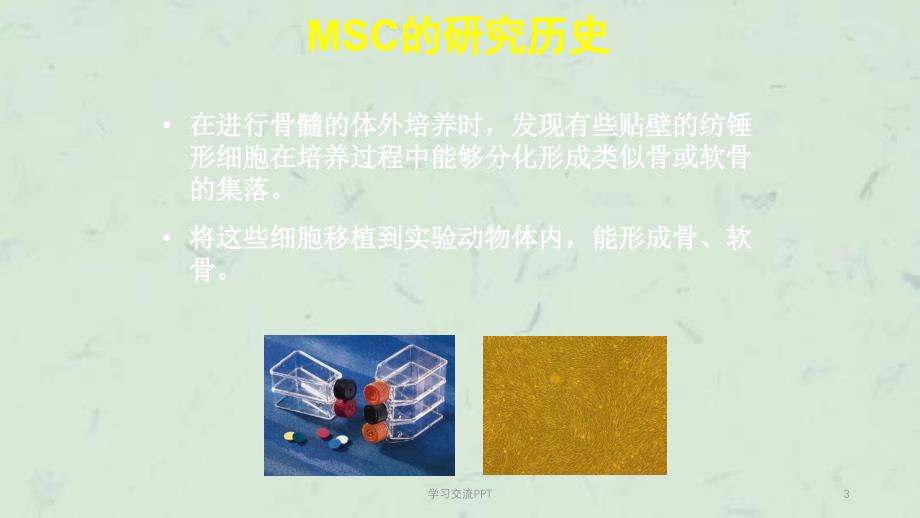 MSC干细胞ppt课件_第3页