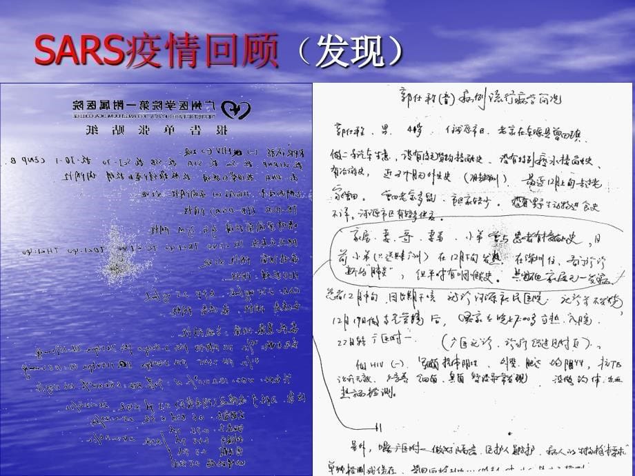 海南省CD陈言_第5页