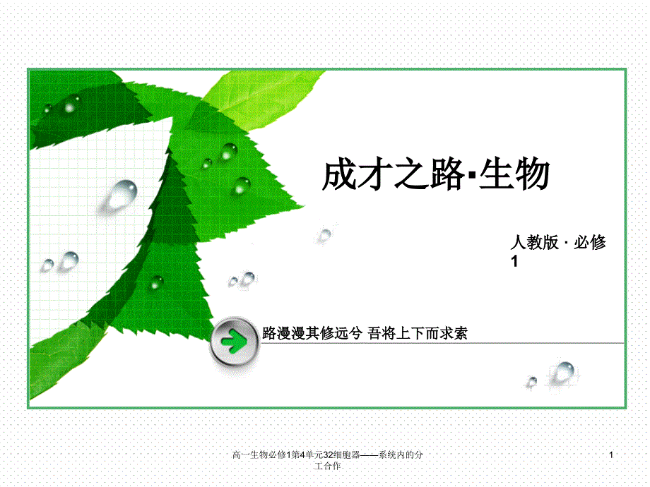 高一生物必修1第4单元32细胞器系统内的分工合作课件_第1页