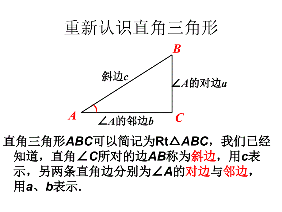 2431锐角三角函数_第2页