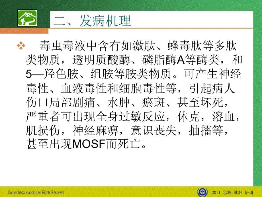 毒虫咬伤急救课件_第5页