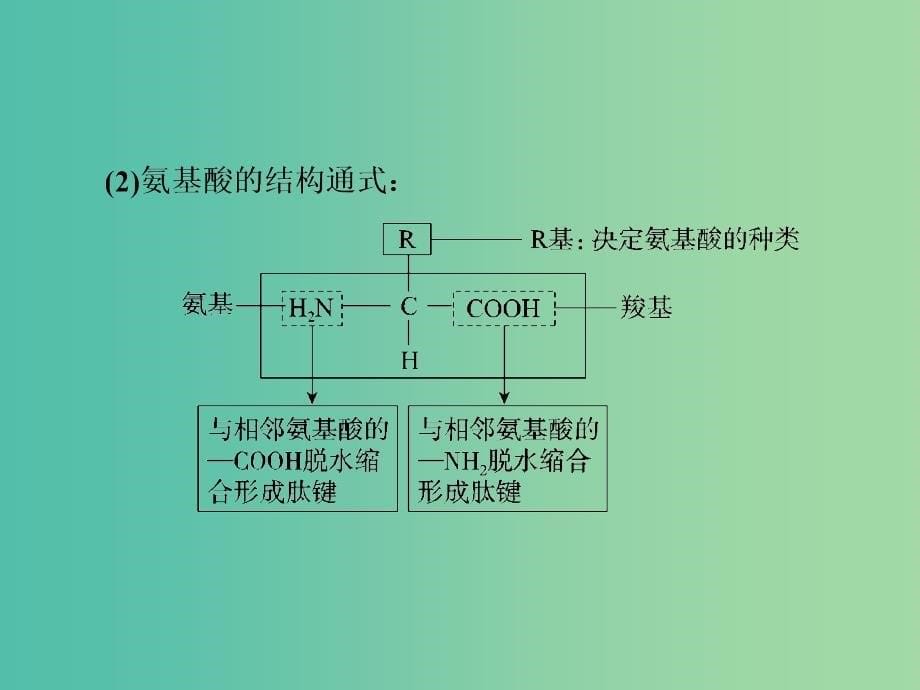 2019年高考生物一轮复习 1-1-1-3 生命活动的主要承担者——蛋白质课件.ppt_第5页