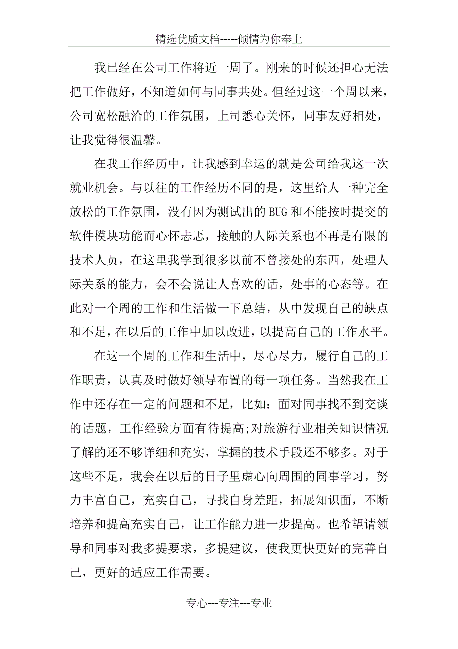 设计师一周工作总结PPT_第3页