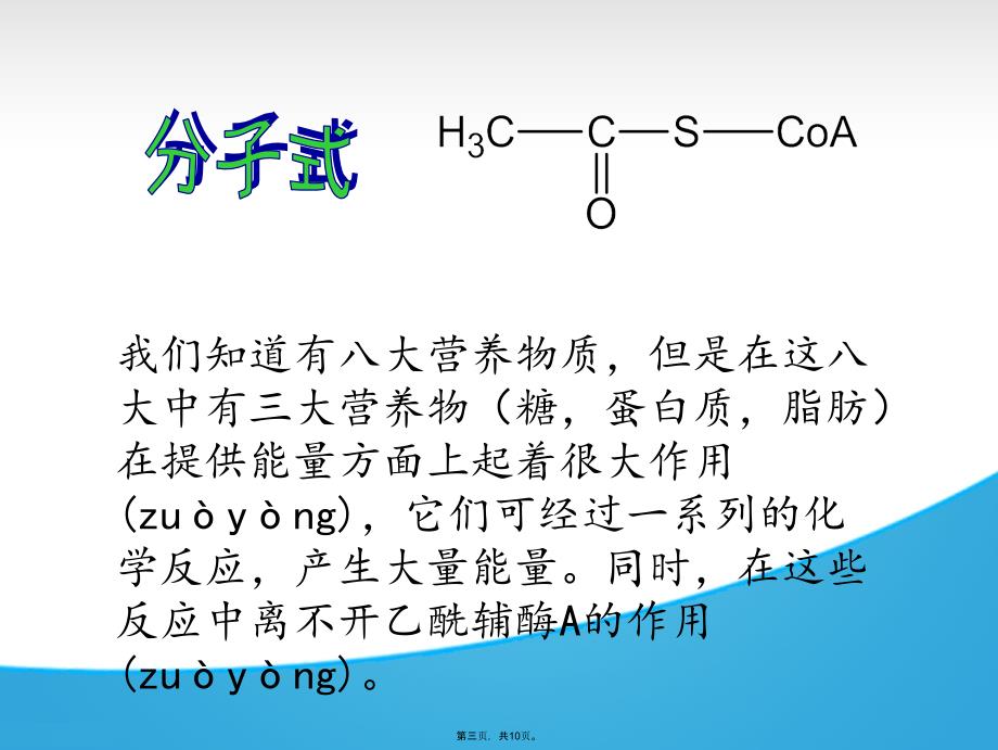 乙酰辅酶A的作用电子教案_第3页