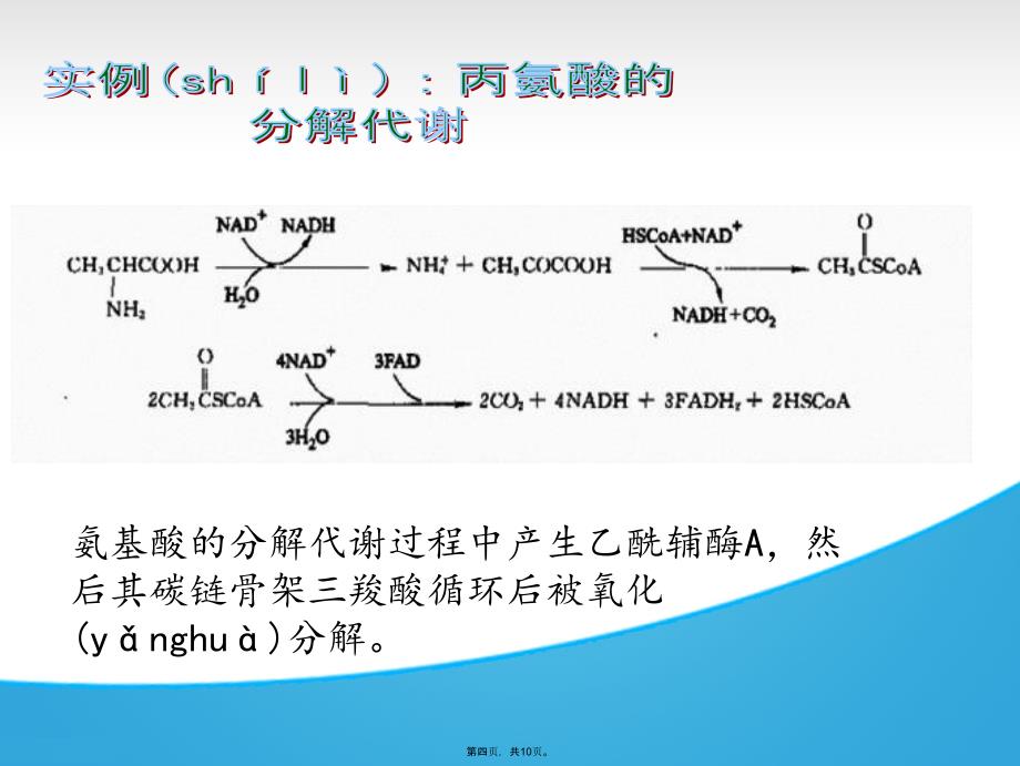 乙酰辅酶A的作用电子教案_第4页