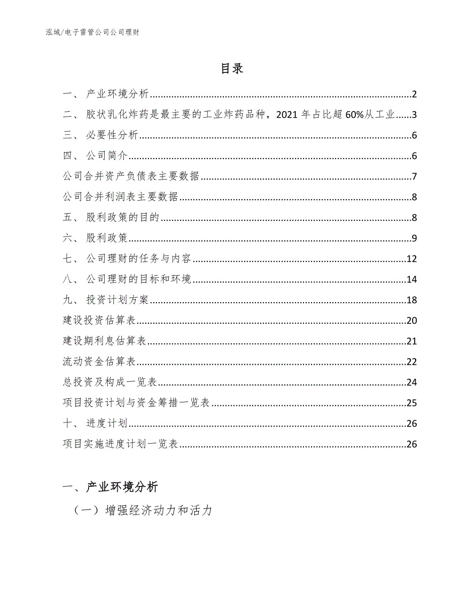 电子雷管公司公司理财（范文）_第2页