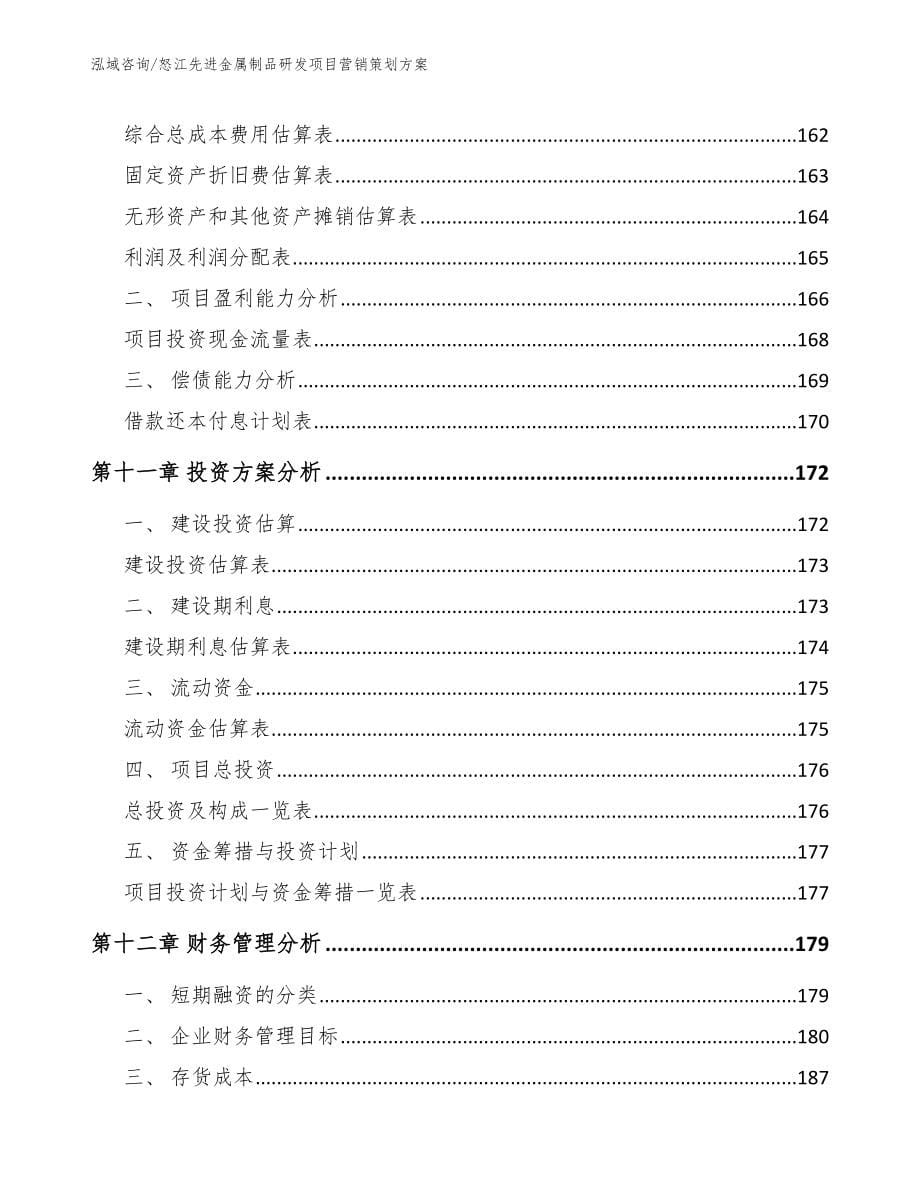 怒江先进金属制品研发项目营销策划方案_第5页