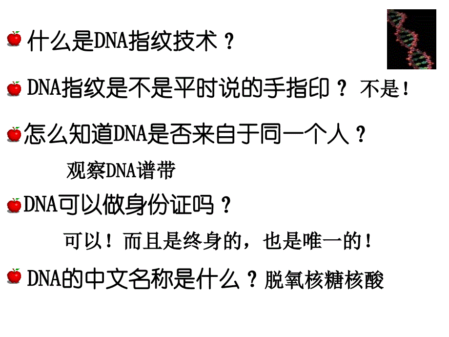 2.3遗传信息的携带者核酸课件殷宝志_第3页