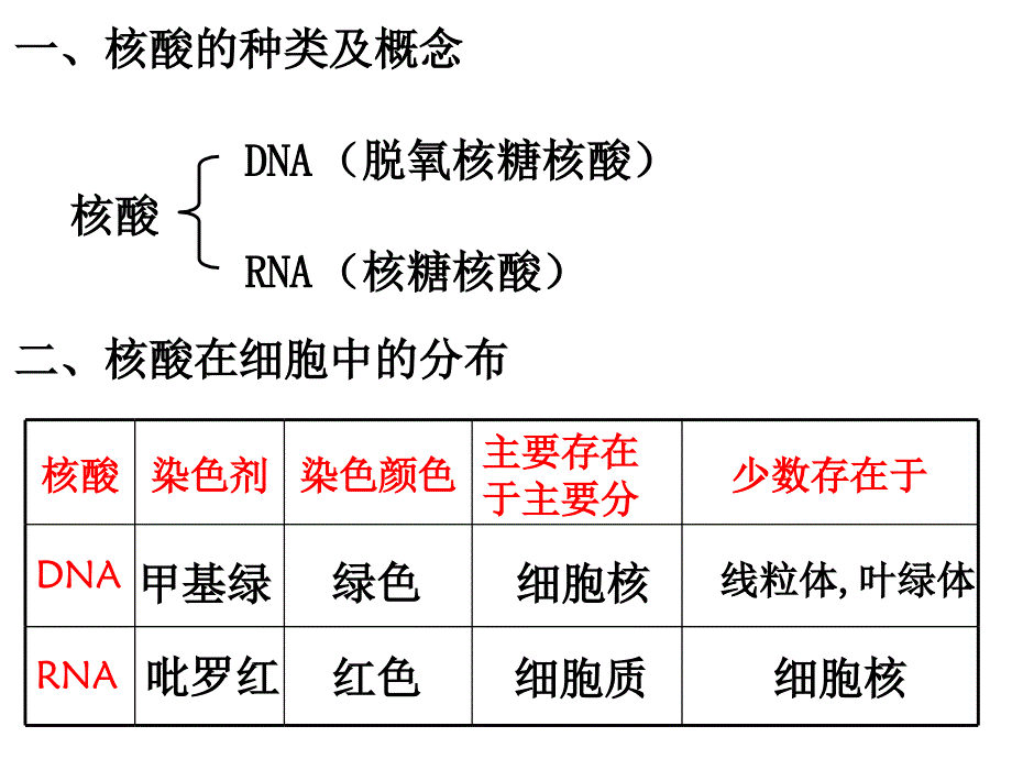 2.3遗传信息的携带者核酸课件殷宝志_第4页