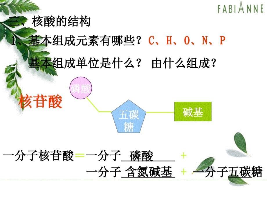 2.3遗传信息的携带者核酸课件殷宝志_第5页