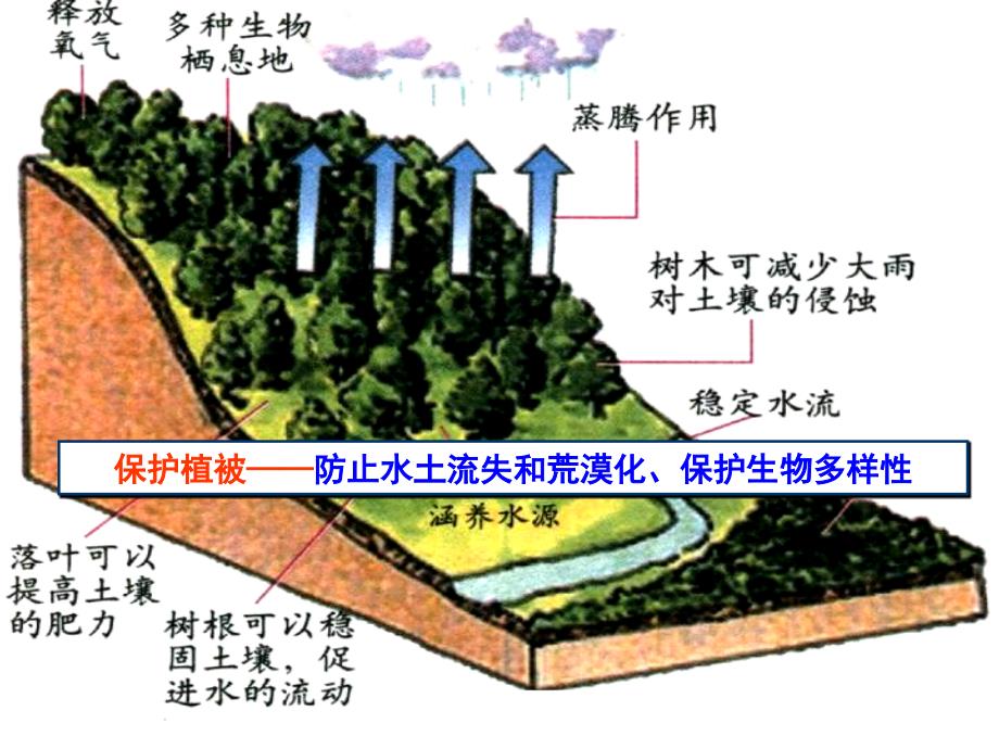 生态环境保护培训课件(-31张)_第4页