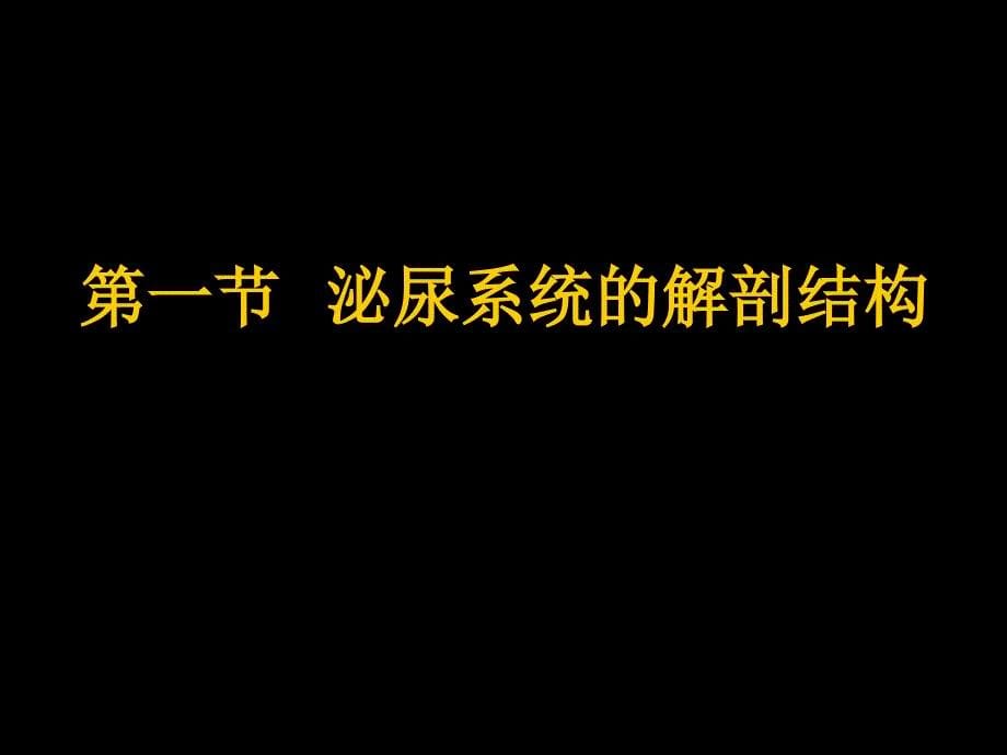 现代基础医学概论第八章_第5页