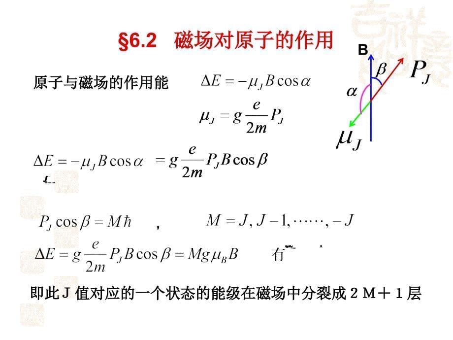 第六章在磁场中原子_第5页