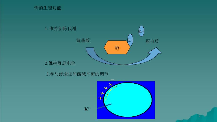 高钾血症护理干货分享_第4页