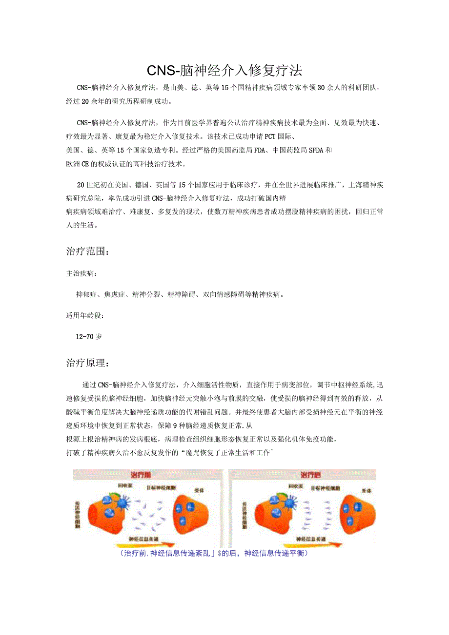 cns脑神经介入修复疗法_第1页