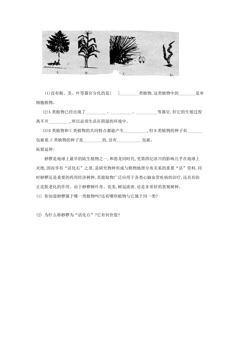 精选类七年级生物上册2.1.1绿色植物的主要类群第二课时导学案无答案新版济南版通用_第3页