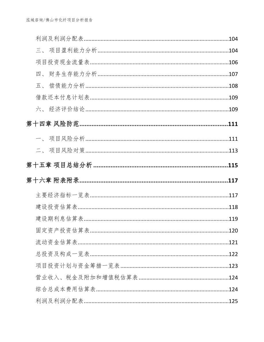 佛山市化纤项目分析报告_第5页