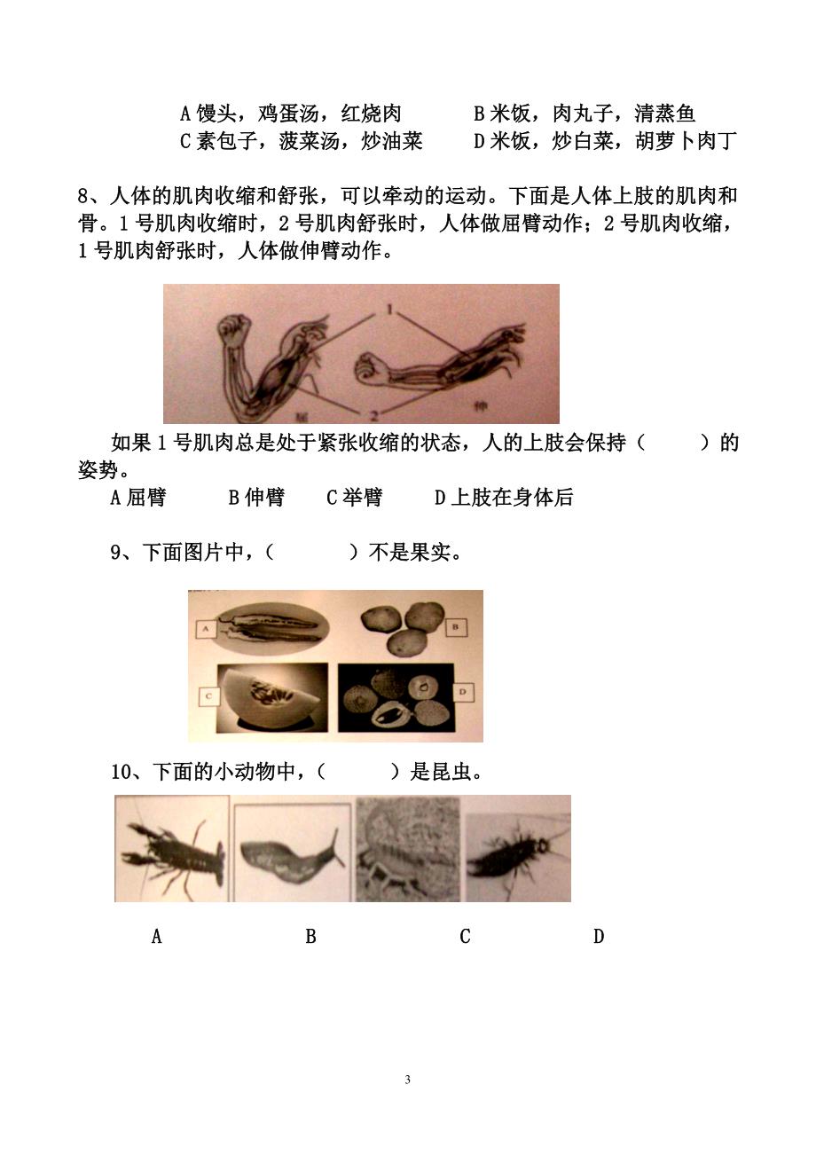 小科2007质量模拟测试一(整理后).doc_第3页